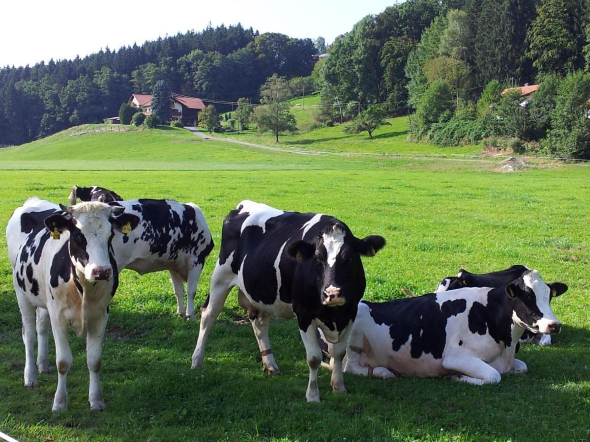Direkt Zwischen Chiemsee U Alpen Dg Bernau am Chiemsee Ngoại thất bức ảnh